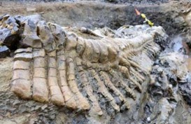 Riset: Dinosaurus Mati Karena Letusan Gunung Api Era Cretaceous